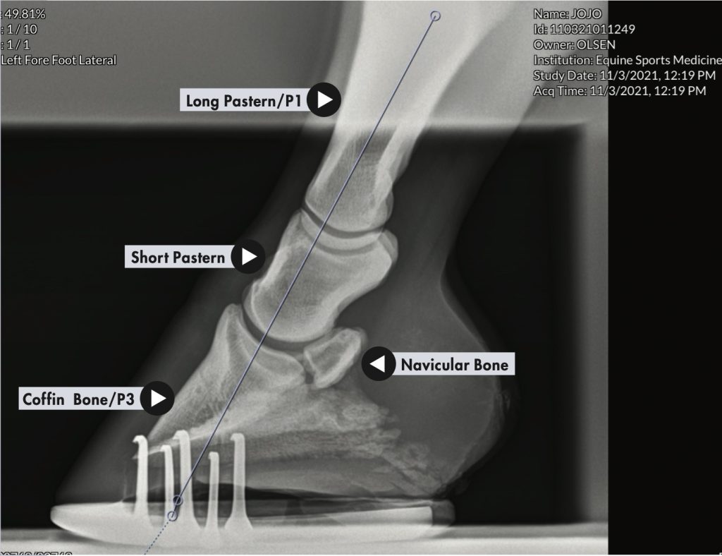 This veterinarian and farrier team relies on digital radiographs and x-rays  to eliminate guesswork in achieving soundness.